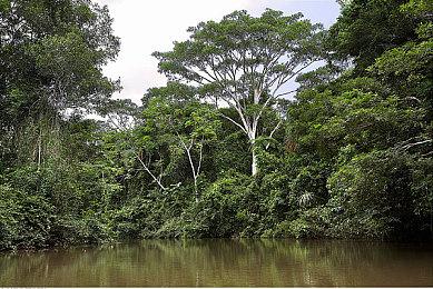 《对马岛之鬼：导演剪辑版》发售宣传片